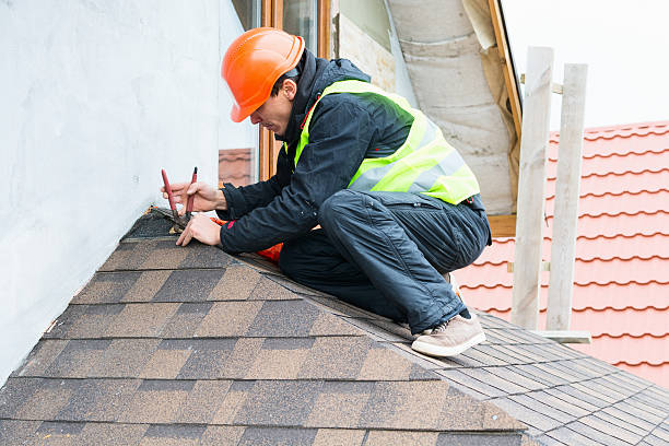 Best Roof Gutter Cleaning  in Sparrow Bush, NY