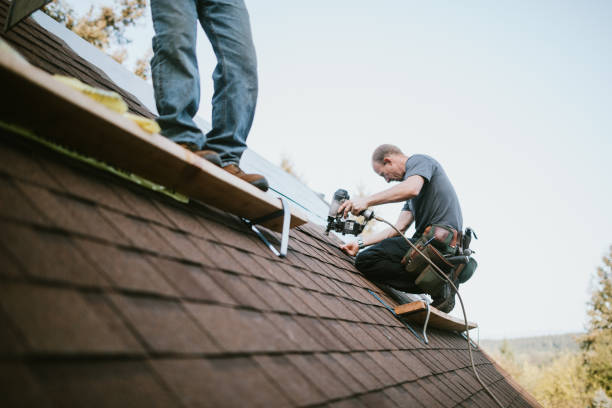 Roof Gutter Cleaning in Sparrow Bush, NY